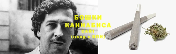 гидра Белоозёрский