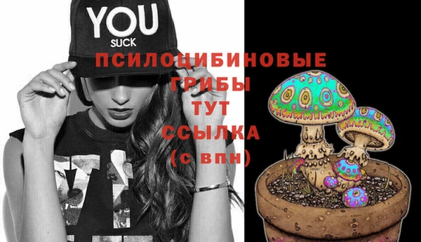 гидра Белоозёрский