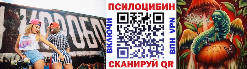 Псилоцибиновые грибы прущие грибы  blacksprut зеркало  Городец 