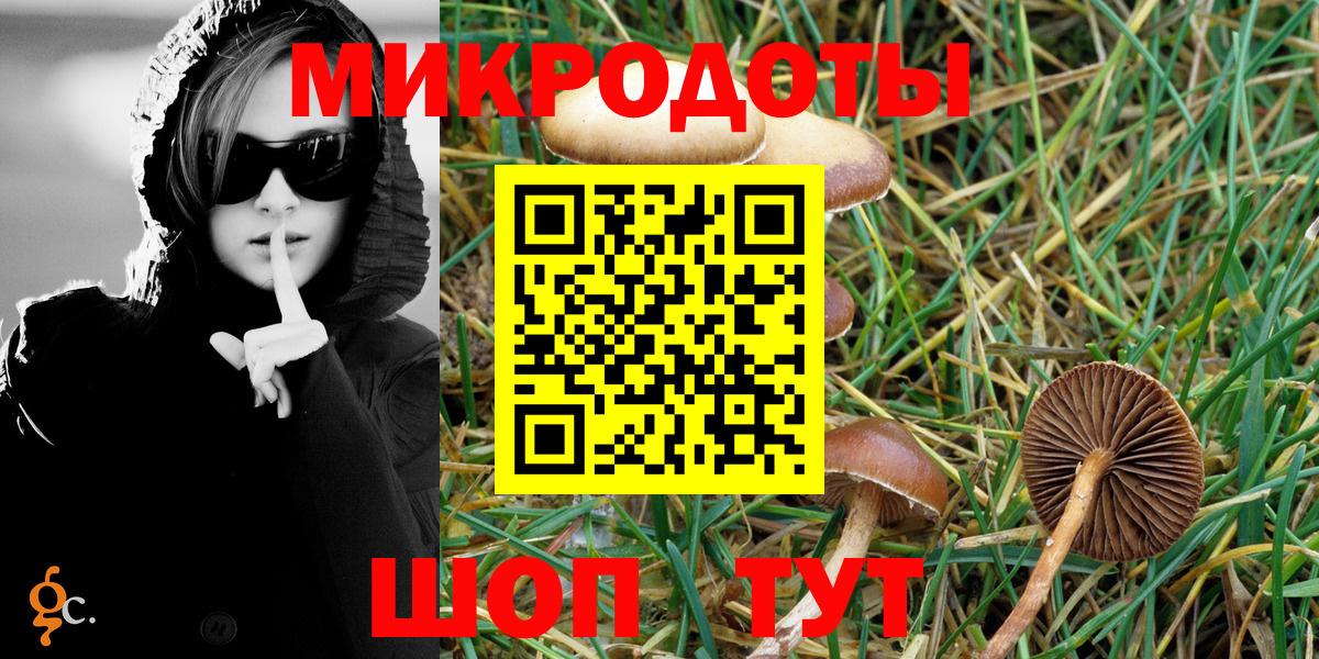 Городец  Псилоцибиновые грибы мухоморы  Вход с VPN  Галлюциногенные грибы ЛСД 
