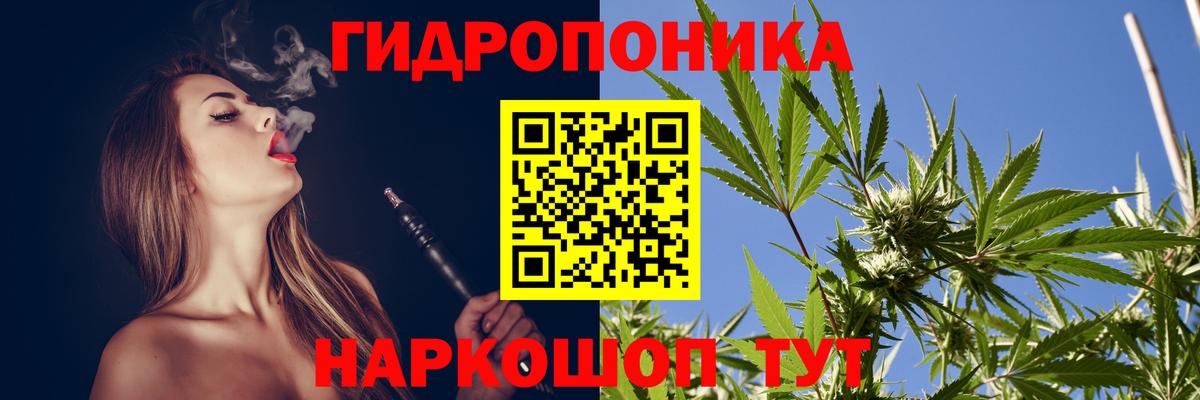 Бошки марихуана сатива  Вход с VPN  МАРИХУАНА SATIVA & INDICA  Городец  Канабис White Widow  Конопля планчик 